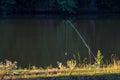 Freshwater angling with rods beside a lake mist morning Royalty Free Stock Photo
