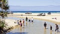 A freshwater creek on Fraser Island