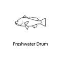 freshwater drum icon. Element of marine life for mobile concept and web apps. Thin line freshwater drum icon can be used for web a