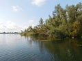 freshwater ecosystem river of a biesbosh natural park