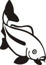 Freshwater fish carp black outline on a white background