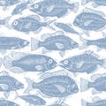 Freshwater fish endless pattern, vector nature and marine theme Royalty Free Stock Photo
