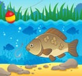 Freshwater fish theme image 2 Royalty Free Stock Photo