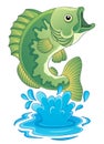 Freshwater fish theme image 6