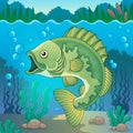 Freshwater fish topic image 1 Royalty Free Stock Photo