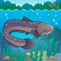 Freshwater fish topic image 2