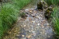 freshwater flow in the middle of the green in the afternoon. (frozen action) spring in green grass. selective focus Royalty Free Stock Photo