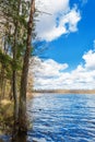 Freshwater lake with super clean blue water, pine trees and birche trees on the shore. landscape with blue sky and big white Royalty Free Stock Photo