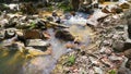 Mountain Freshwater River In A Tropical Forest