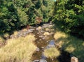 Freshwater mountain stream through grassland and mountain