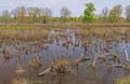 Freshwater Pond with a Beaver House