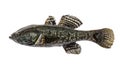 Freshwater predatory fish rotan, isolated Perccottus glenii, Amur Sleeper, side view Royalty Free Stock Photo