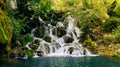 Freshwater stream falling over mossy rocks surrounded by lush trees Royalty Free Stock Photo