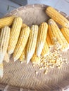 Fresly picked young corn and sold cheaply by a street vendor Royalty Free Stock Photo