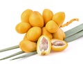Frest dates palms  Fruit isolate on white background Royalty Free Stock Photo
