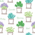 Frest garden herbs in pots seamless pattern