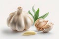 Fresh Garlic Isolated on a White Background - Ai Generative