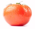 Frest wet tomato Royalty Free Stock Photo