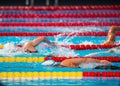 Frestyle swimming race Royalty Free Stock Photo