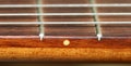 Fretboard