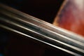 Fretboard with string of old shabby cello Royalty Free Stock Photo