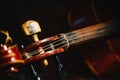 Fretboard and tuning peg of old shabby cello on black Royalty Free Stock Photo