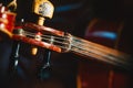 Fretboard and tuning peg of old shabby cello on black Royalty Free Stock Photo