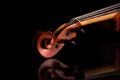 Fretboard violin with strings isolated on black Royalty Free Stock Photo