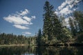 Fri-trees near river at the spring Royalty Free Stock Photo