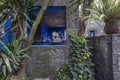 Frida Kahlo Museum Blue House und courtyard