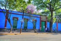 Frida Kahlo Museum