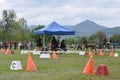 From Friday, April 28 to Sunday, April 30, an international driving competition takes place in SÃ©lestat (Bas-Rhin).