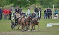 From Friday, April 28 to Sunday, April 30, an international driving competition takes place in SÃ©lestat (Bas-Rhin).