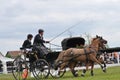 From Friday, April 28 to Sunday, April 30, an international driving competition takes place in SÃ©lestat (Bas-Rhin).