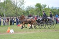 From Friday, April 28 to Sunday, April 30, an international driving competition takes place in SÃ©lestat (Bas-Rhin).