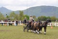 From Friday, April 28 to Sunday, April 30, an international driving competition takes place in SÃ©lestat (Bas-Rhin).