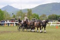 From Friday, April 28 to Sunday, April 30, an international driving competition takes place in SÃ©lestat (Bas-Rhin).