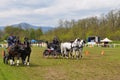 From Friday, April 28 to Sunday, April 30, an international driving competition takes place in SÃ©lestat (Bas-Rhin).