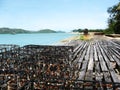 Friday Island Pearling Farms Royalty Free Stock Photo