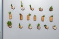 Fridge magnets garden Royalty Free Stock Photo