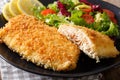 Fried Arctic char fish fillet in breadcrumbs and fresh vegetable Royalty Free Stock Photo