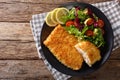 Fried Arctic char fish fillet in breadcrumbs and fresh vegetable Royalty Free Stock Photo