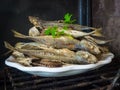 Fried Atlantic horse mackerel in a white plate - Portuguese traditional food