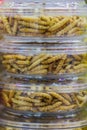 Fried bamboo worms packing in the market for sale. Bamboo caterpillar (Omphisa Fuscidentalis), fried bamboo worms that ready to ea Royalty Free Stock Photo