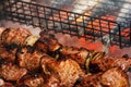 Fried juicy bbq meat and fish in a grill on a fire cooking food on a bonfire Royalty Free Stock Photo