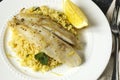 Fried Basa Fillet with Lemon Couscous Royalty Free Stock Photo