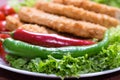 Fried battered chicken breast Royalty Free Stock Photo