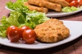 Fried battered chicken breast Royalty Free Stock Photo