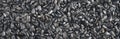 Fried black sunflower seeds. Background. Texture. Panorama. Royalty Free Stock Photo