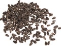 Fried black sunflower seeds on white background Royalty Free Stock Photo